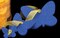 The Ribbon People Blue Felt Butterfly Assortment Special Christmas 8"